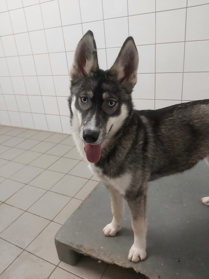 2022-12-17-Hela-und-Fenris-4 Hela