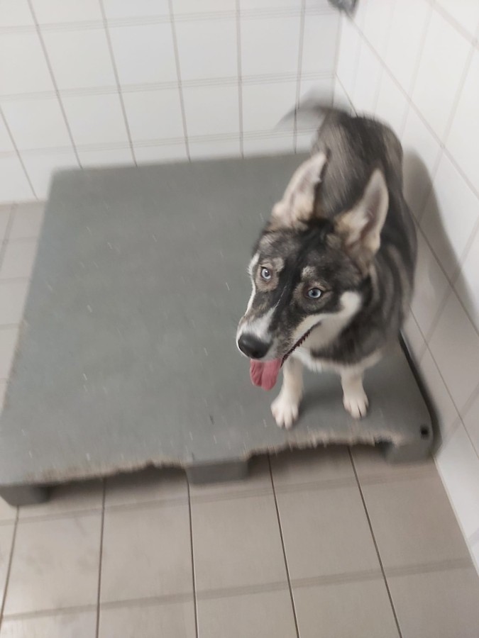 2022-12-17-Hela-und-Fenris-6 Hela