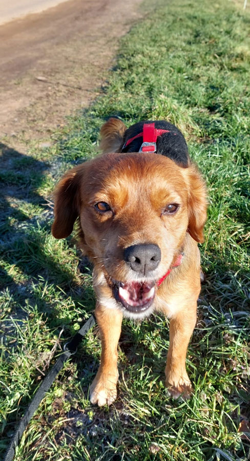 2022-120-Cookie-3 Cookie