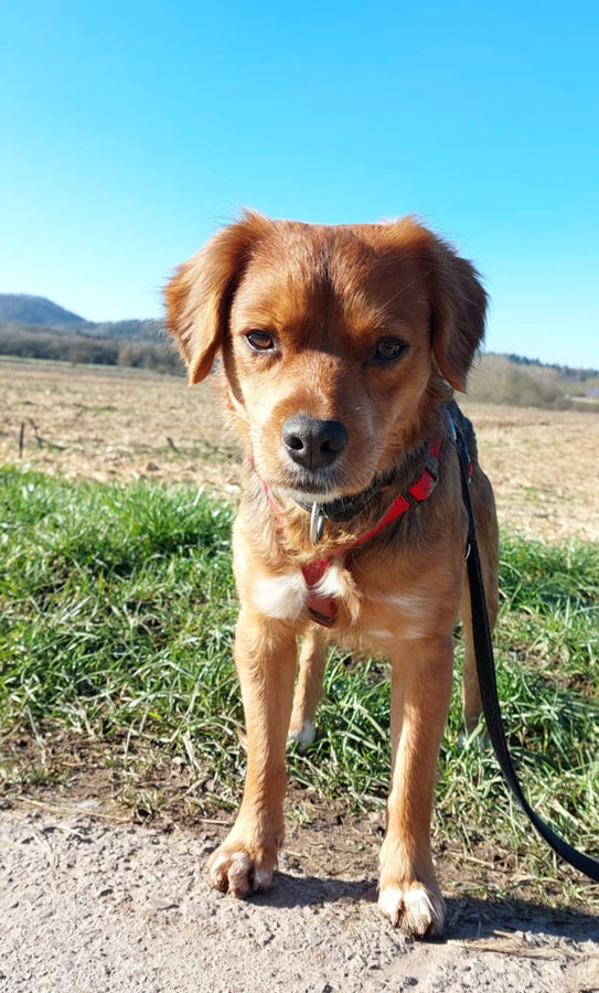 2022-120-Cookie-7 Cookie