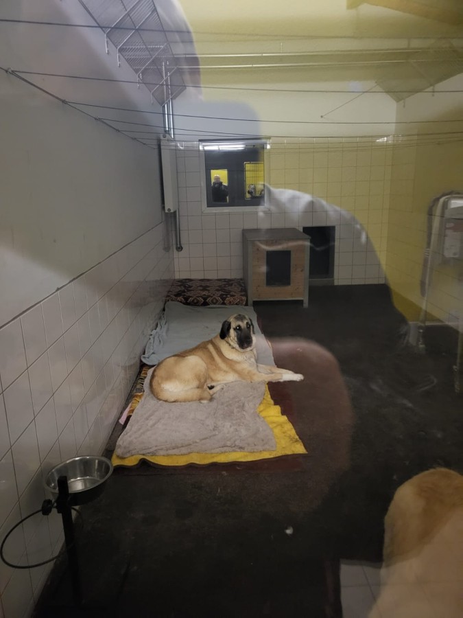 2023-03-12-Kizim-krank-24 Kizim