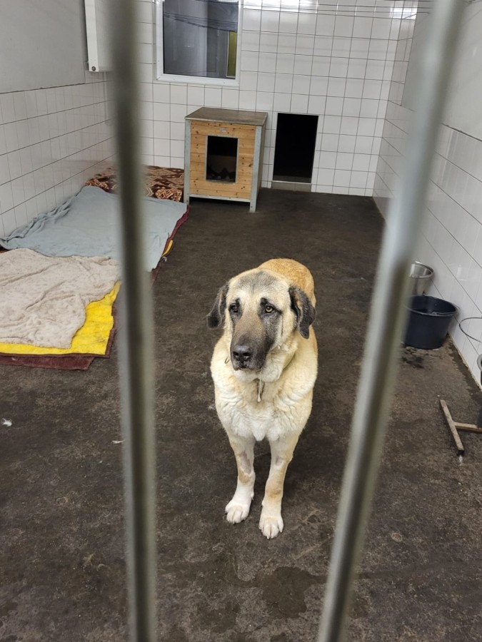 2023-03-12-Kizim-krank-26 Kizim