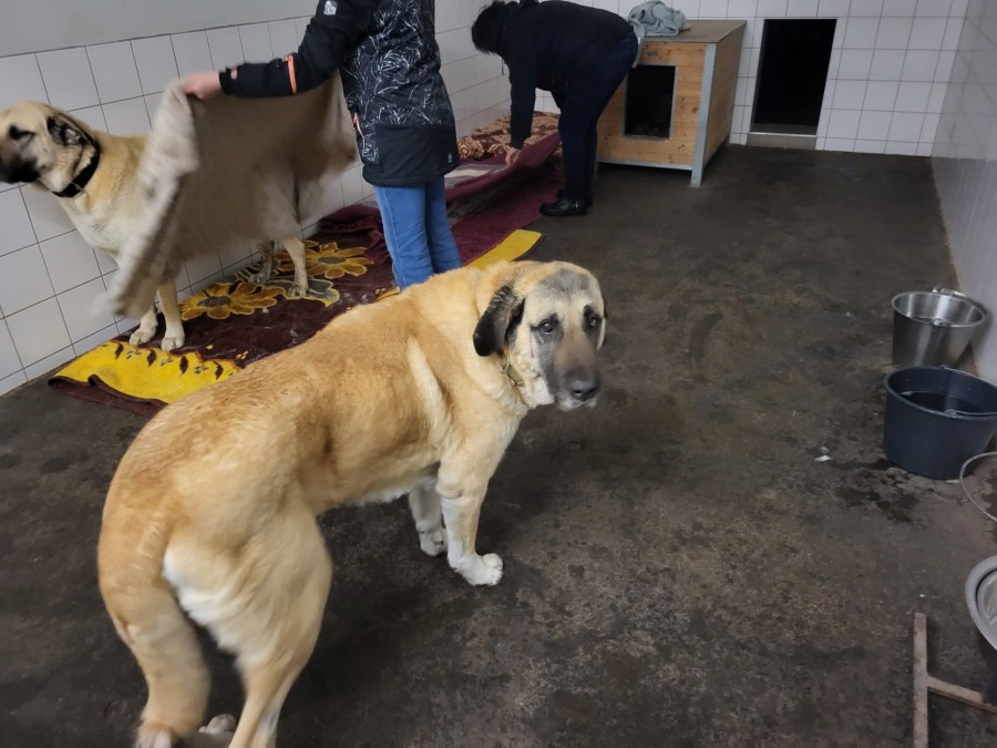 2023-03-12-Kizim-krank-42 Kizim