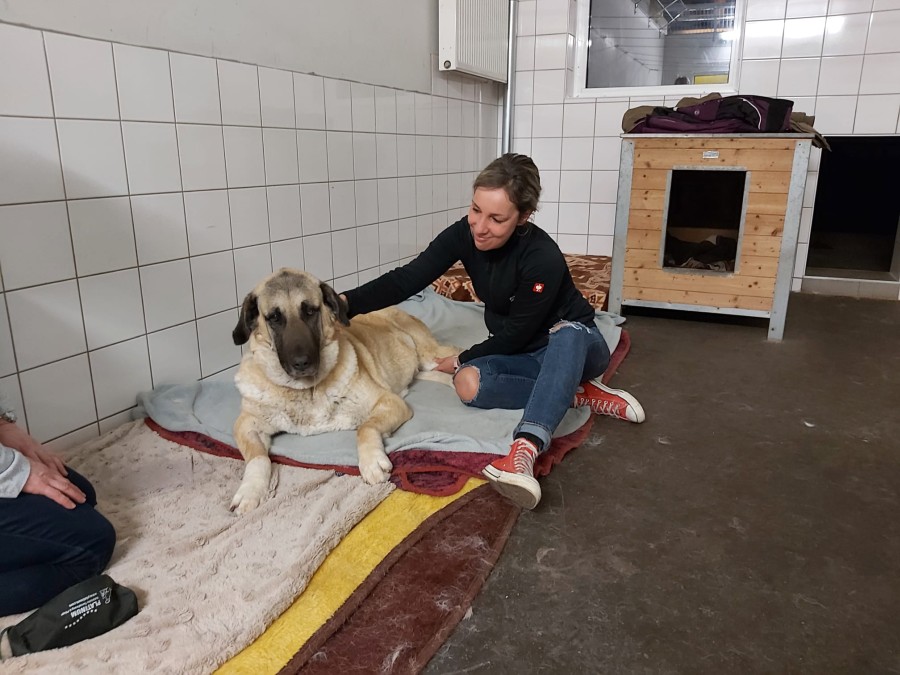 2023-03-12-Kizim-krank-6 Kizim