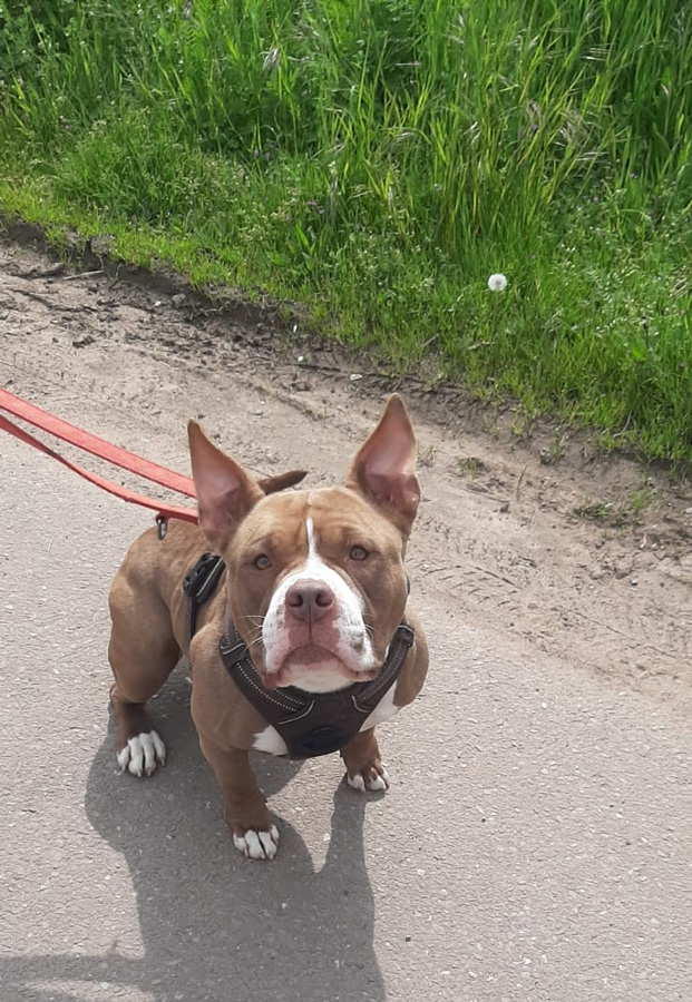 Hannelore -  - Bild 2