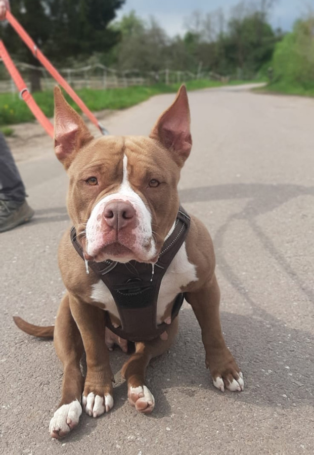 Hannelore -  - Bild 11