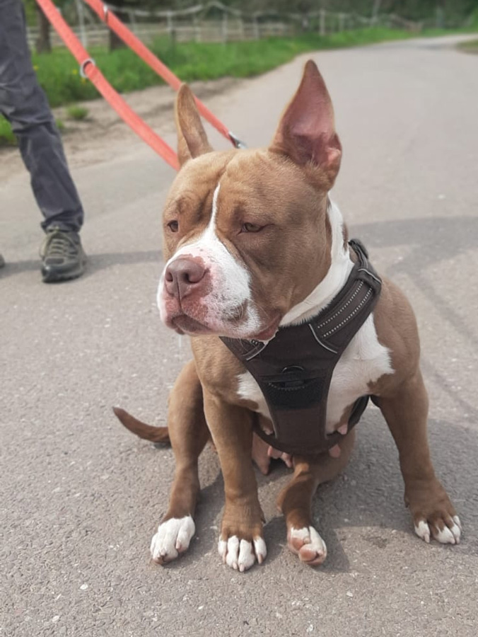 Hannelore -  - Bild 12