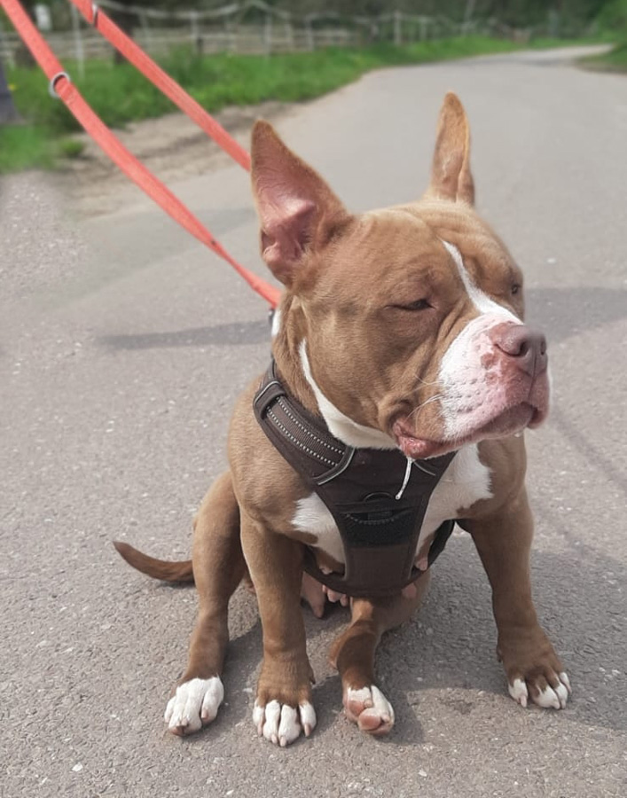 Hannelore -  - Bild 13