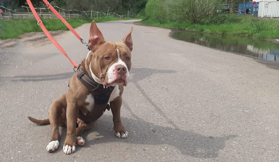 Hannelore -  - Bild 14