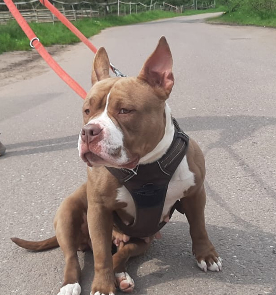 Hannelore -  - Bild 15