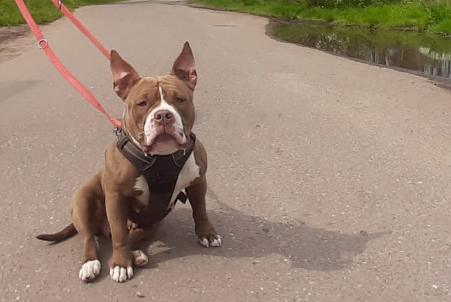 Hannelore -  - Bild 16