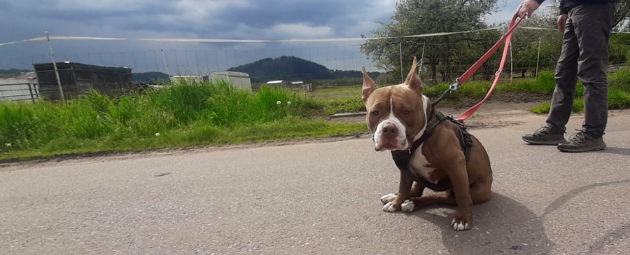 Hannelore -  - Bild 9