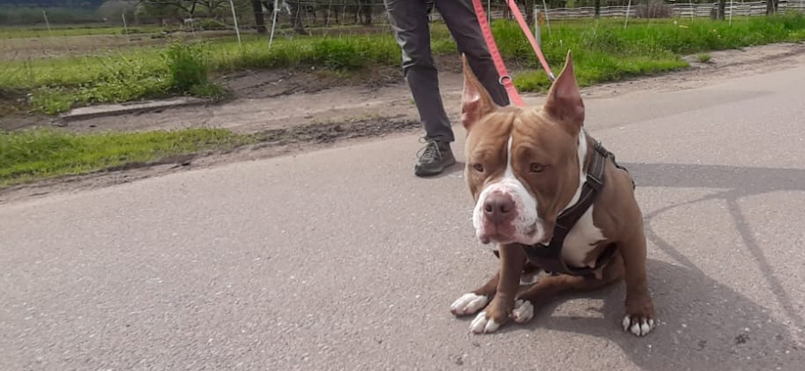 Hannelore -  - Bild 8