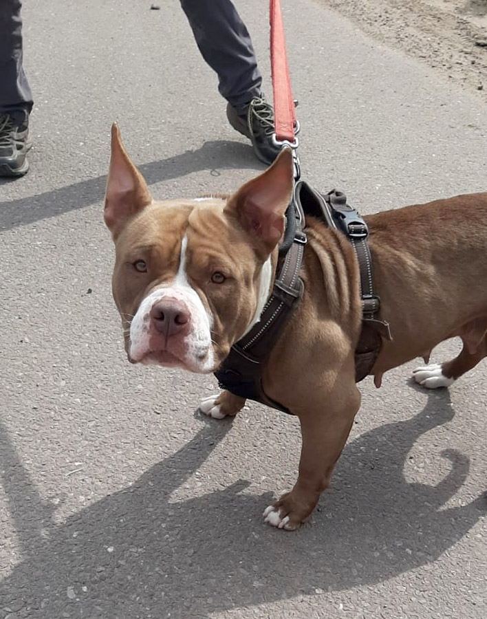 Hannelore -  - Bild 7