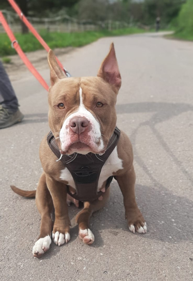 Hannelore -  - Bild 6