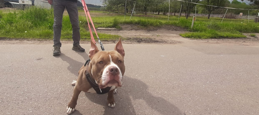 Hannelore -  - Bild 5