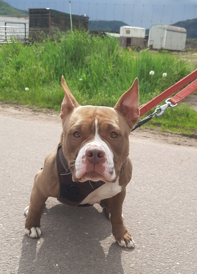 Hannelore -  - Bild 4