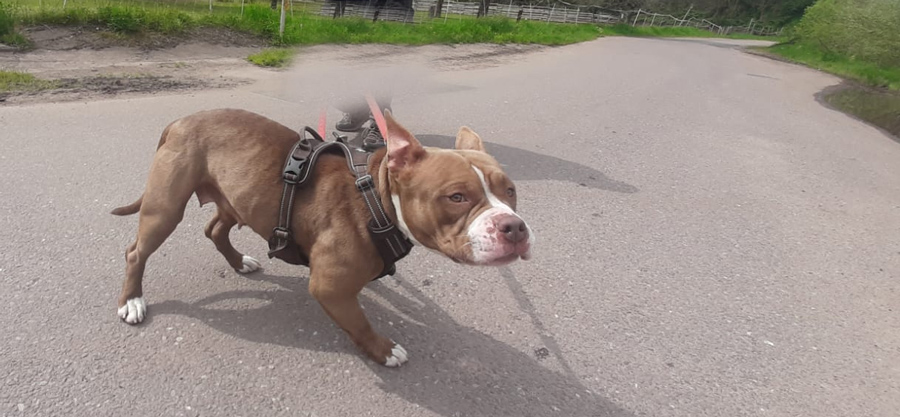 Hannelore -  - Bild 3