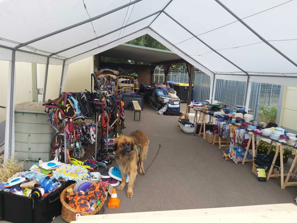 2023-05-07-Kaffee-Kuchen-Flohmarkt-6