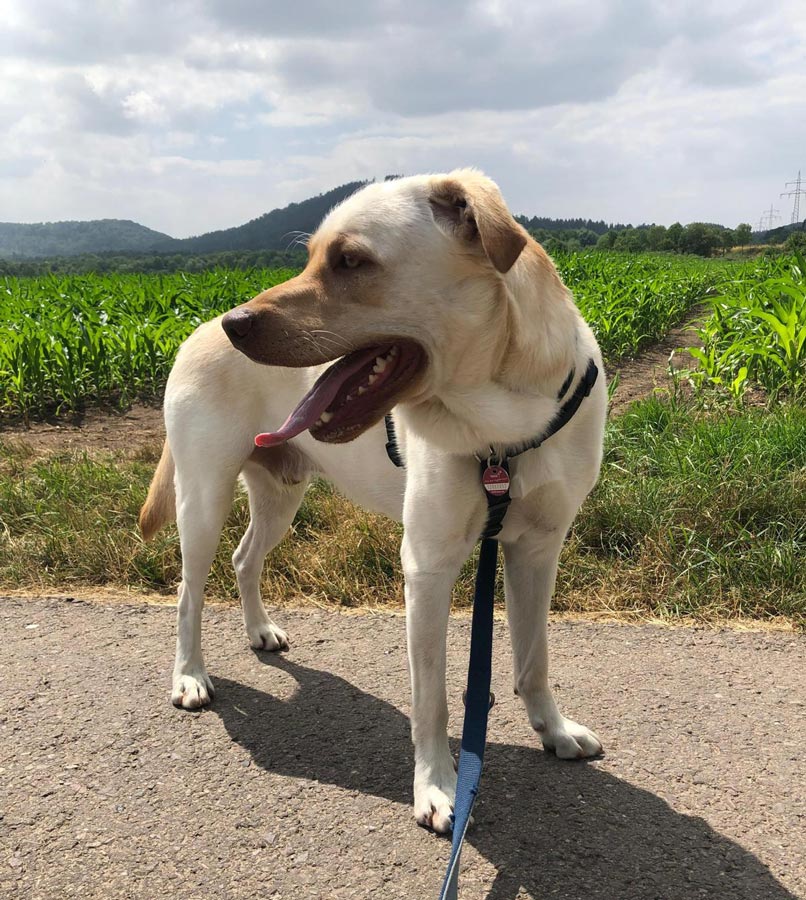 2023-043-Milo-7 Milow