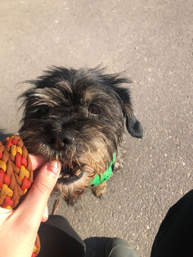 2023-000000-Frodo-2 Frodo