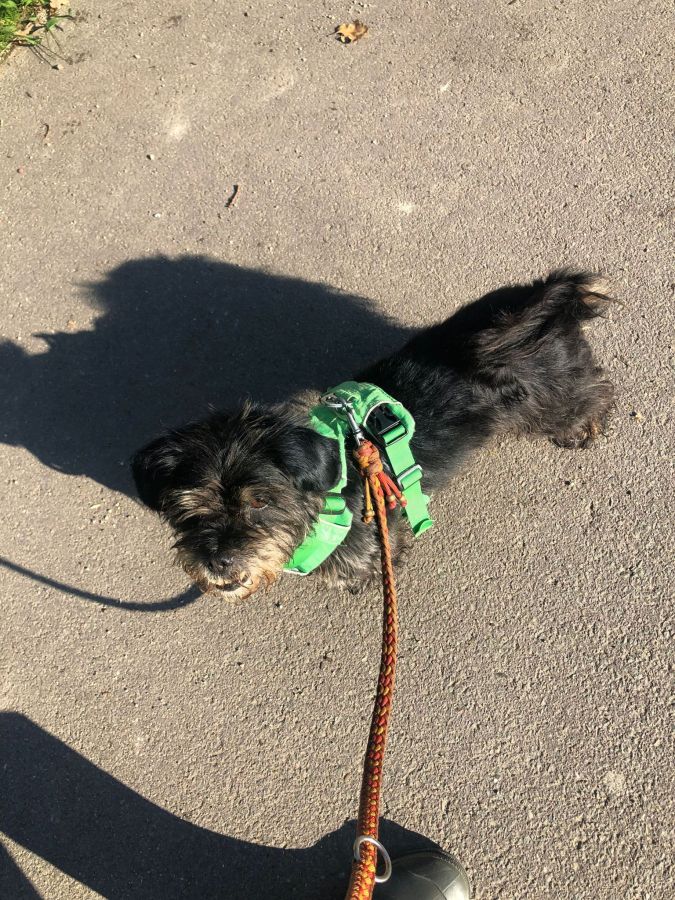 2023-000000-Frodo-5 Frodo