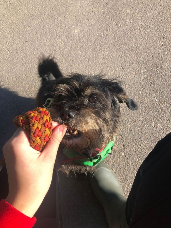 2023-000000-Frodo-6 Frodo