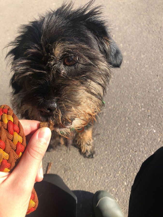 2023-000000-Frodo-7 Frodo