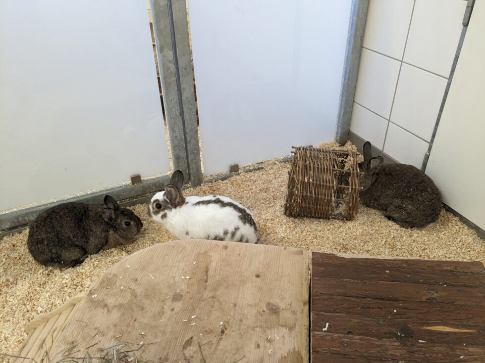 Bob, Murmel, Nieschen