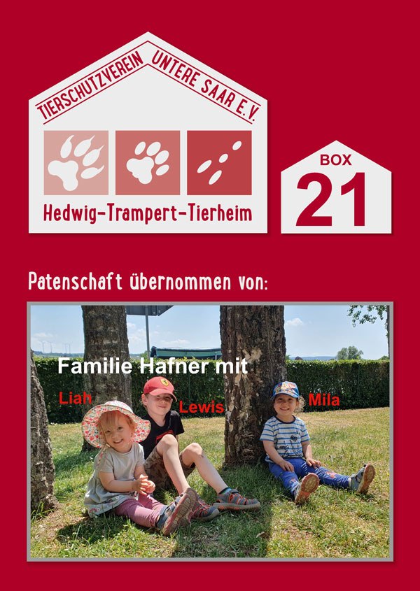 Zwingerschild Hafner