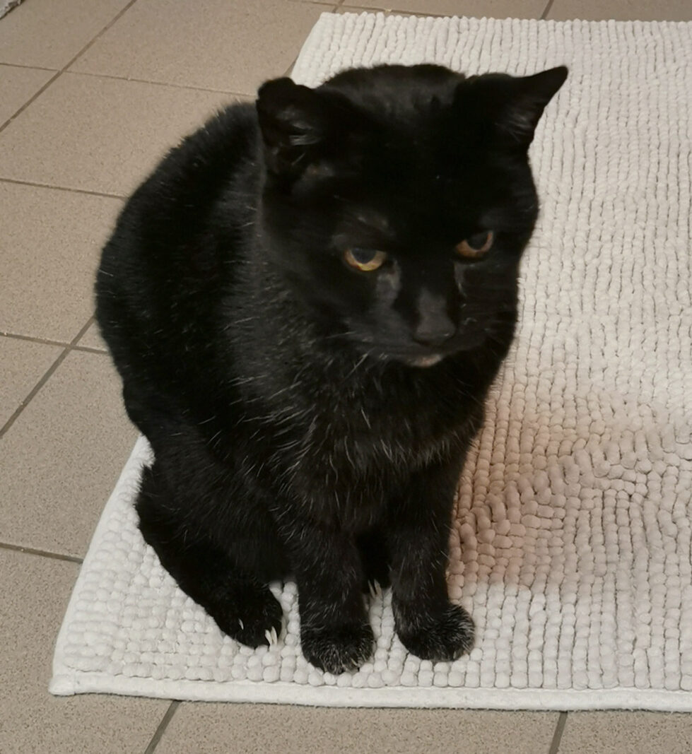 2023-502 Notfall Mulder Mulder