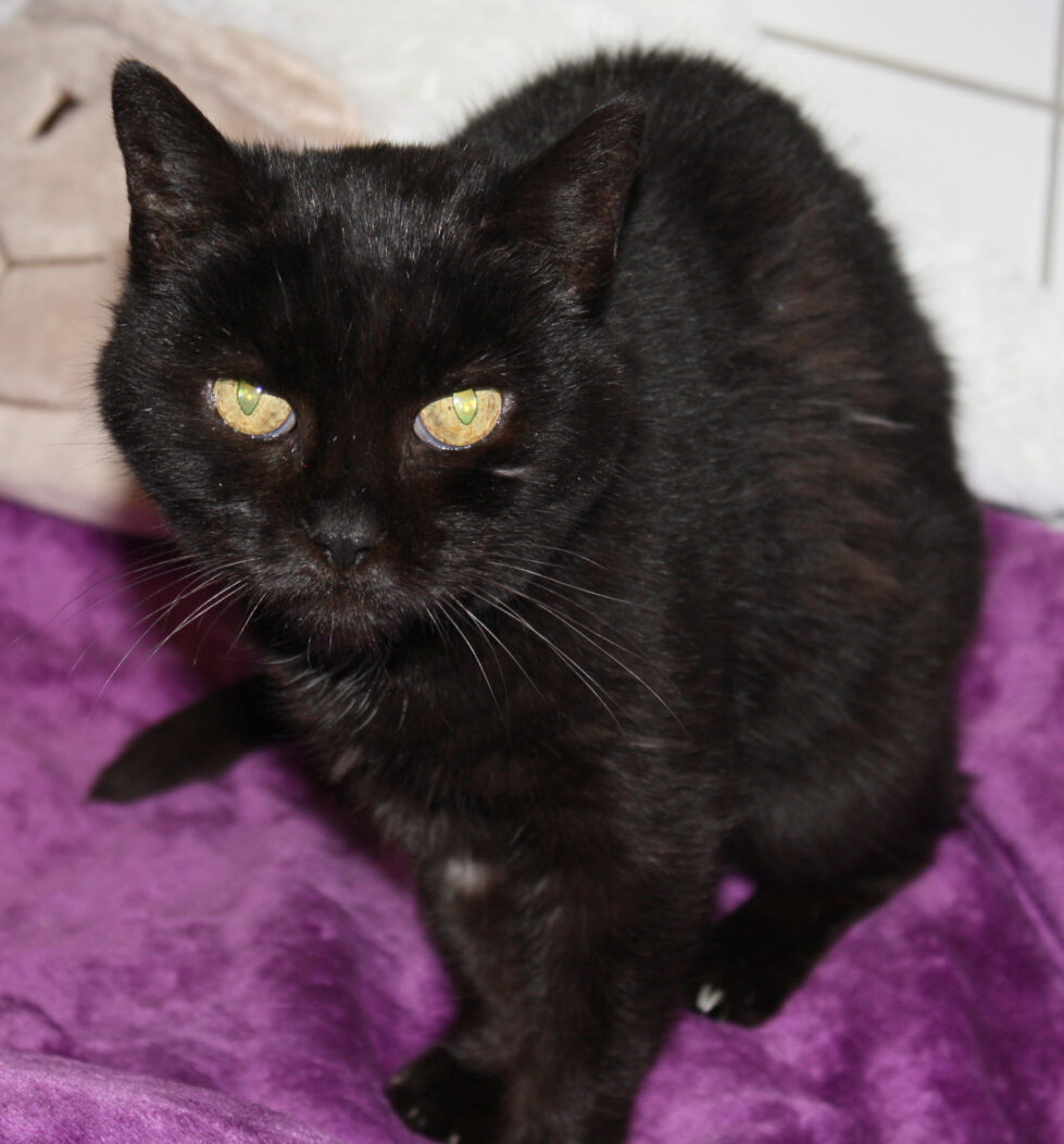 2023-504 Milou 2 Milou