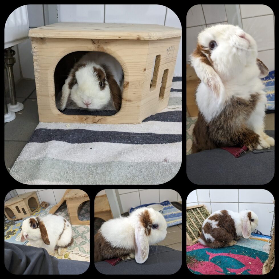 Melbourne unvergessen