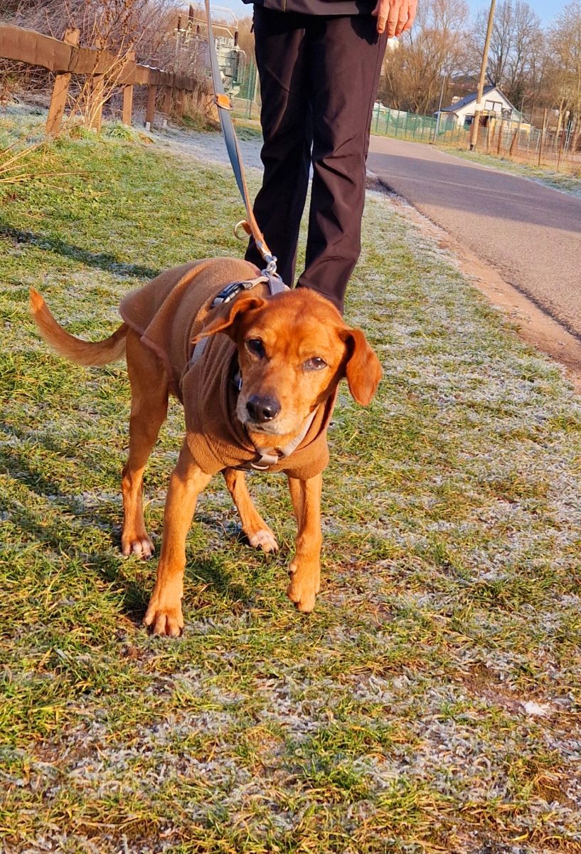 2025-006-Bärchen-HP-1 Bärchen