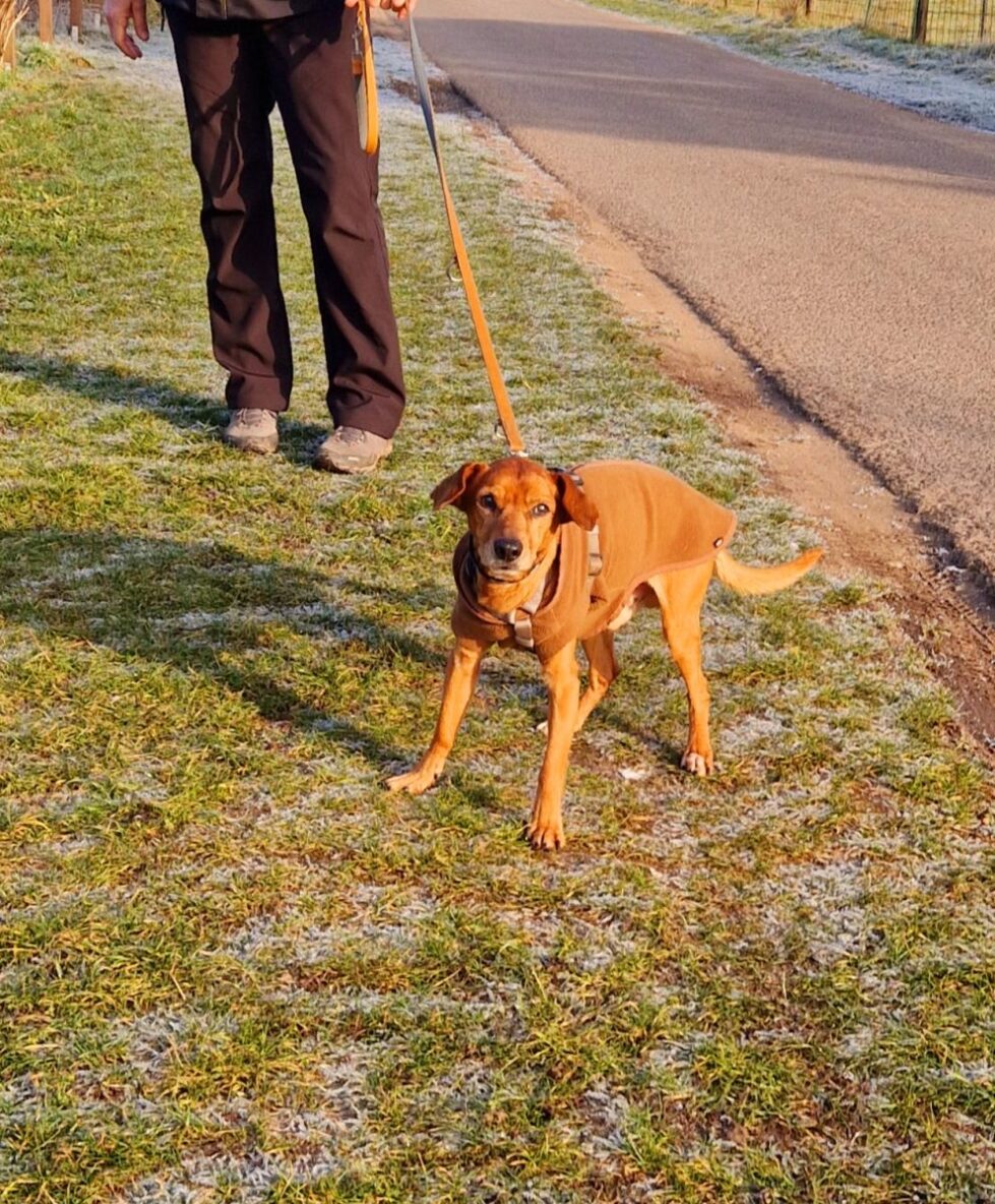 2025-006-Bärchen-HP-2 Bärchen