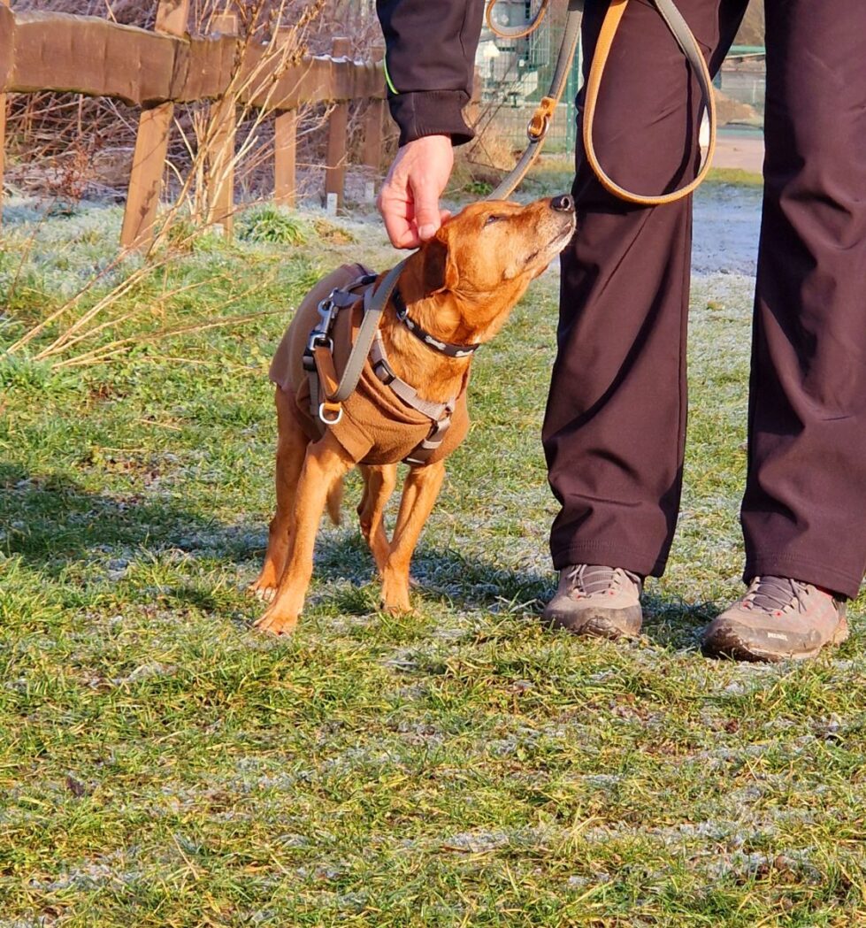 2025-006-Bärchen-HP-4 Bärchen