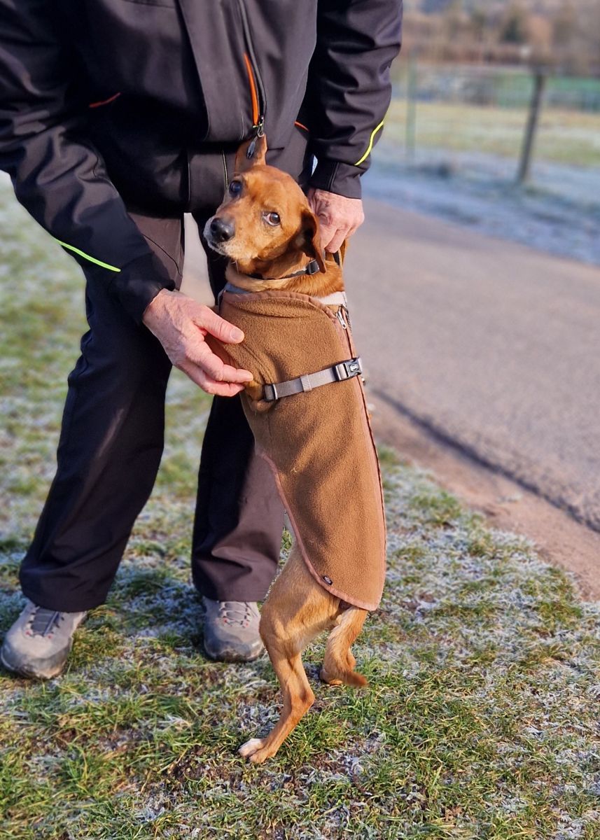 2025-006-Bärchen-HP-5 Bärchen