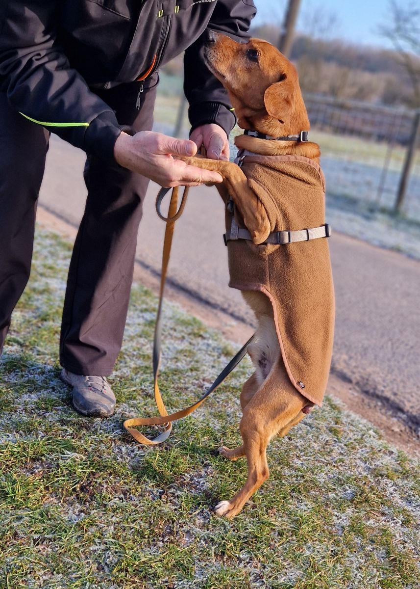 2025-006-Bärchen-HP-6 Bärchen