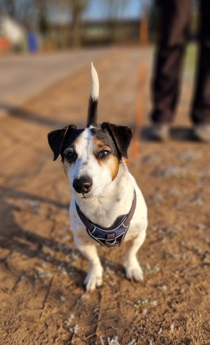 2025-007-Ben-HP-1 Ben