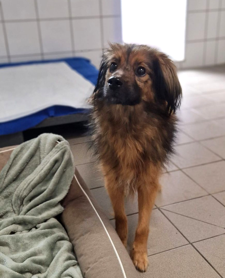 2025-011-Fiete-HP-4 Fiete