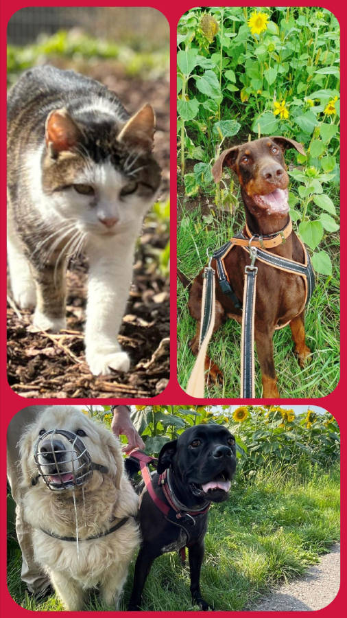 Hinweis Registrierung