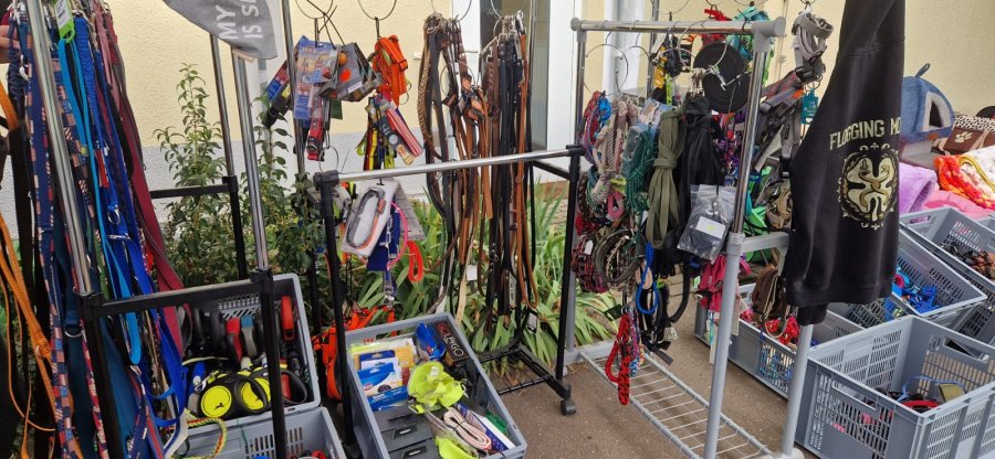 2025-08-31Sommerfest 2025-HP-10