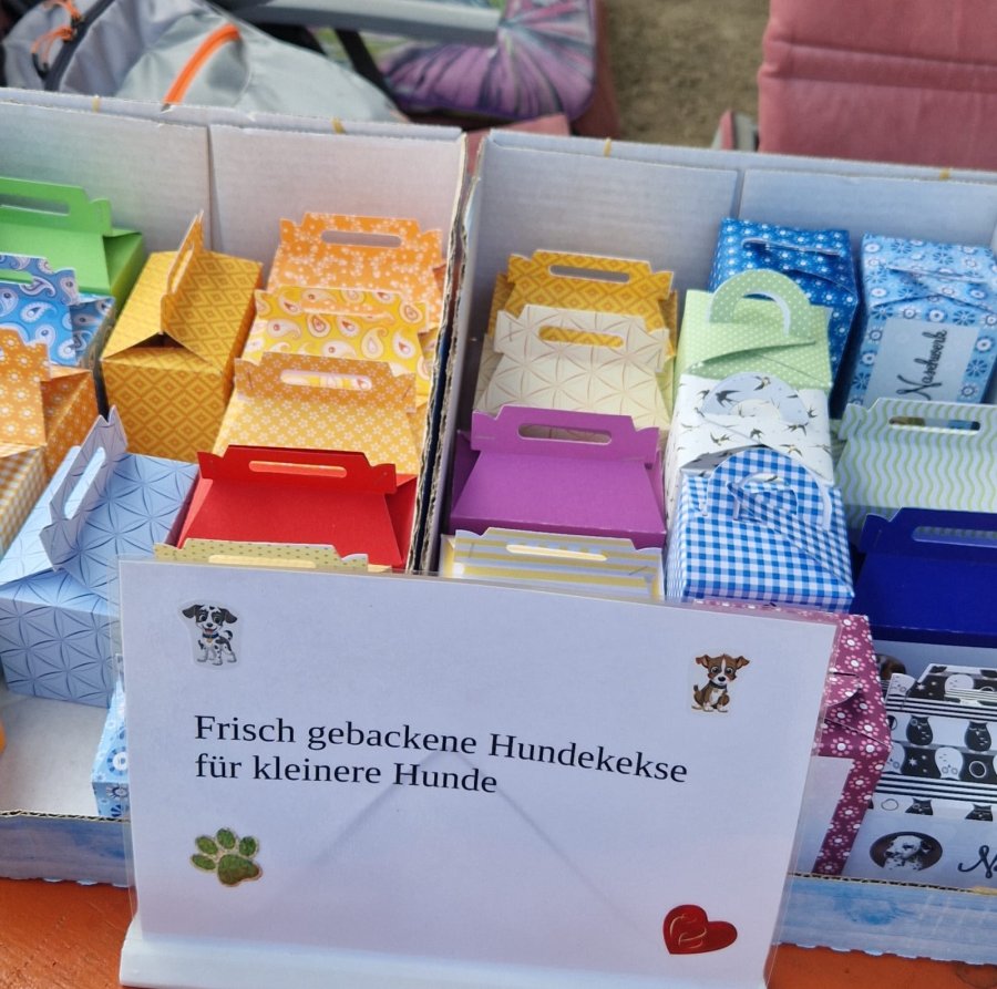 2025-08-31Sommerfest 2025-HP-2