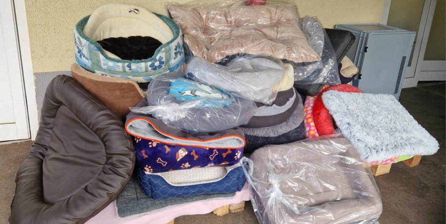 2025-08-31Sommerfest 2025-HP-22