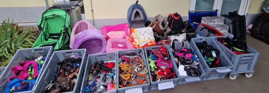 2025-08-31Sommerfest 2025-HP-24