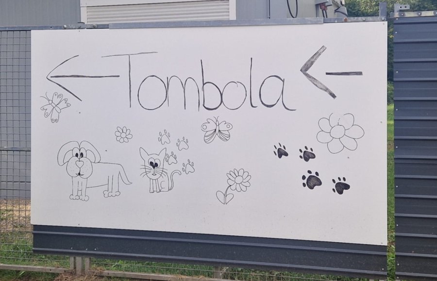 2025-08-31Sommerfest 2025-HP-27