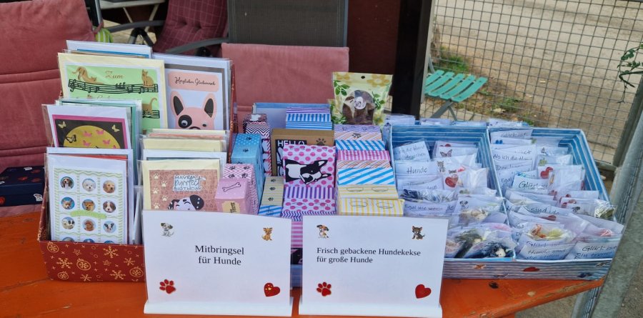 2025-08-31Sommerfest 2025-HP-7