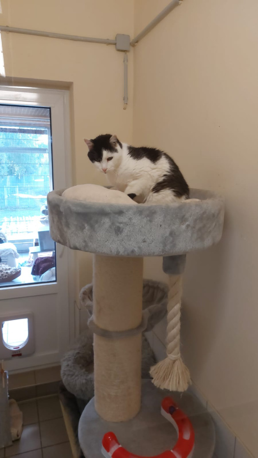 2024-012 Traugott-HP-3 Traugott