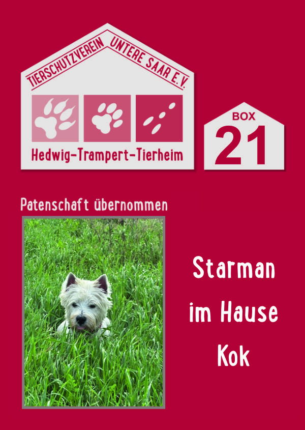 2025-11-16-Boxenschild-Kok-HP