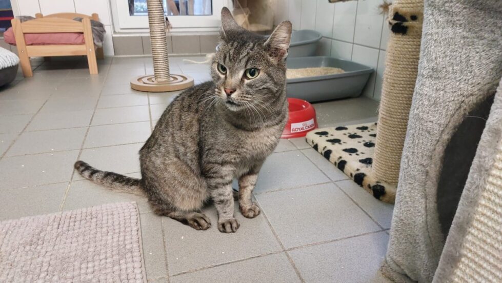 Ruppert-M&auml;xchen